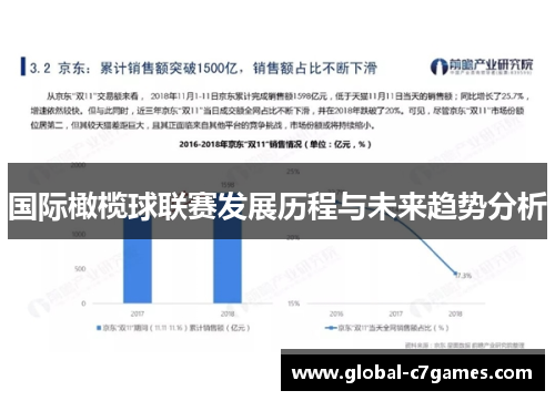 国际橄榄球联赛发展历程与未来趋势分析