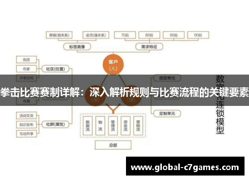 拳击比赛赛制详解：深入解析规则与比赛流程的关键要素
