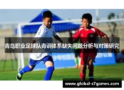 青岛职业足球队青训体系缺失问题分析与对策研究 青岛职业足球队青训体系缺失问题分析与对策研究